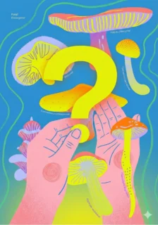Ilustración surrealista de manos sosteniendo setas coloridas con un gran signo de interrogación central sobre fondo azul, representando la curiosidad por los nootrópicos.